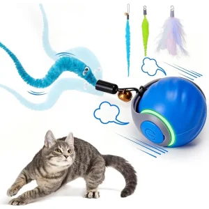 Interactive  Ball 3 Tails 2 Speeds Rechargeable